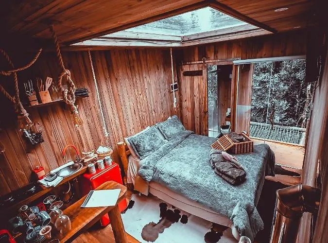 Cabana Da Arvore E Cabana Retro - Forestplace