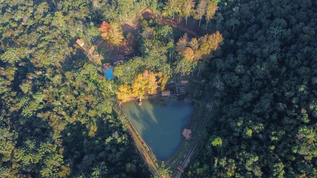 Tenda de luxo Da Arvore E Retro - Forestplace *