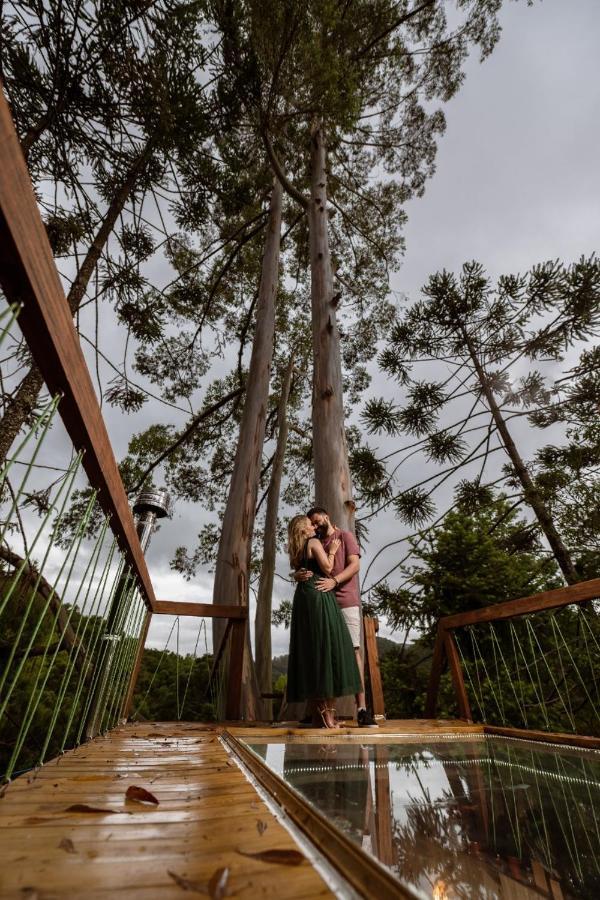 Tenda de luxo Da Arvore E Retro - Forestplace