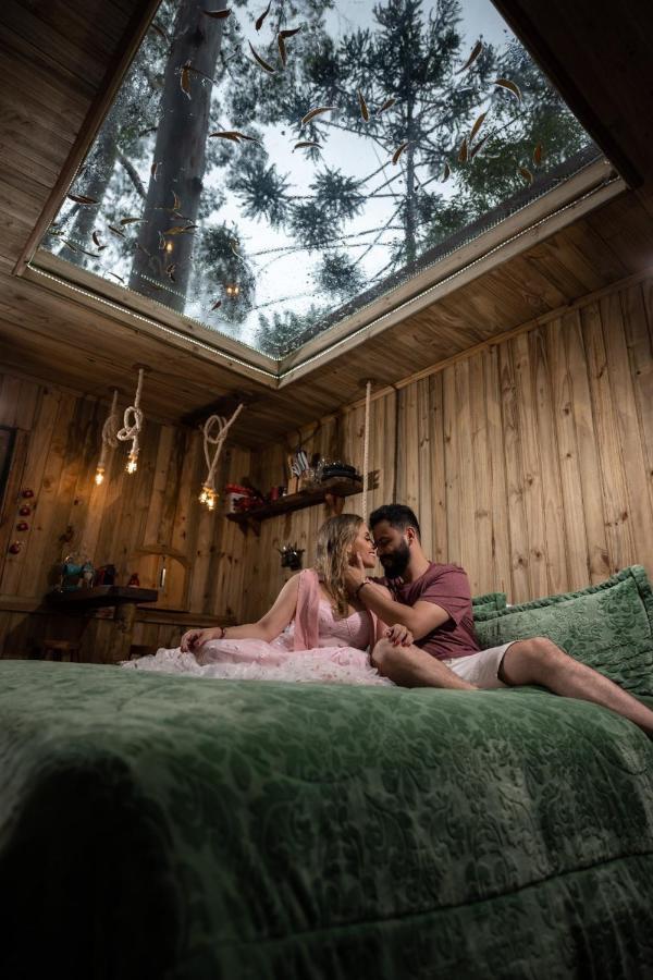 Tenda de luxo Da Arvore E Retro - Forestplace