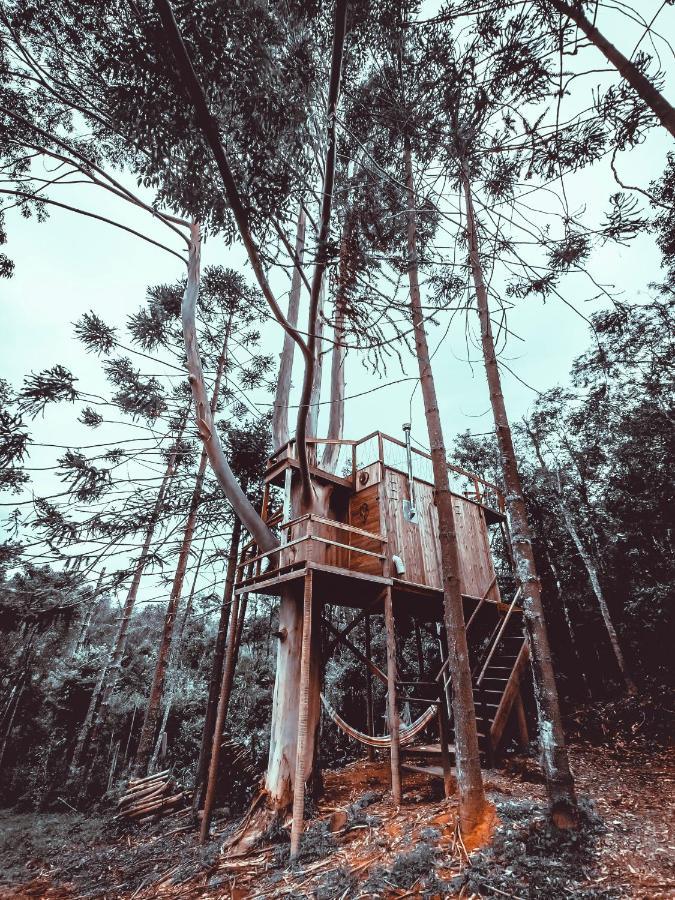 Tenda de luxo Da Arvore E Retro - Forestplace